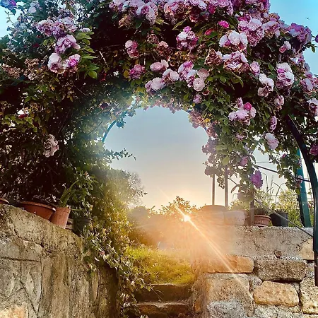 Isabella Kirsal Yasam Evi Fatsa